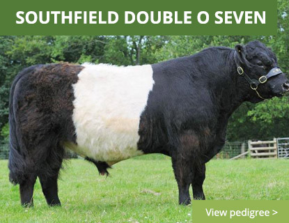 Southfield Double O Seven